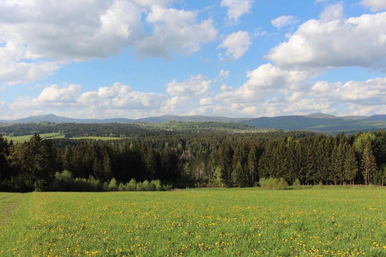 Landhotel Kleblmuehle Grafenau  Zewnętrze zdjęcie